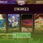 Gemwin